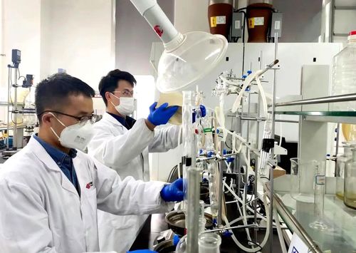 國家能源集團(tuán)PAO基礎(chǔ)油成套技術(shù)成功填補(bǔ)國內(nèi)技術(shù)空白