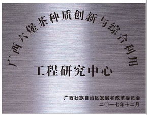 雙星閃耀 創(chuàng)新驅(qū)動——廣西梧州六堡茶股份榮獲科技創(chuàng)新突出貢獻與文化品牌建設雙料殊榮